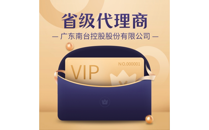 南臺(tái)控股-省級分公司